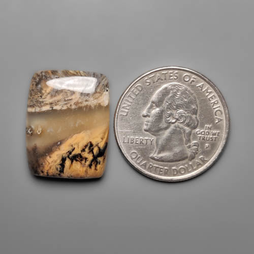 Dendritic Agate