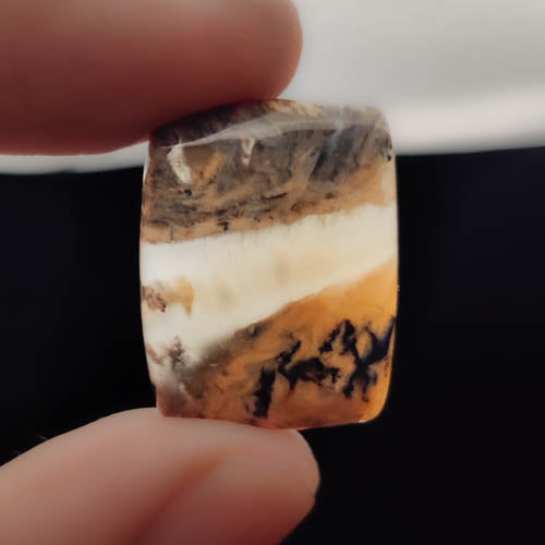 Dendritic Agate