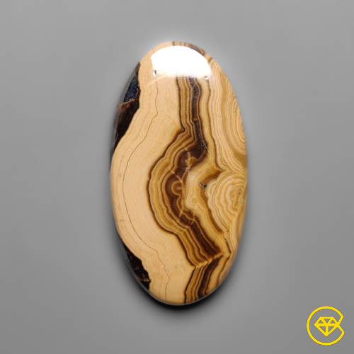 Schalenblende