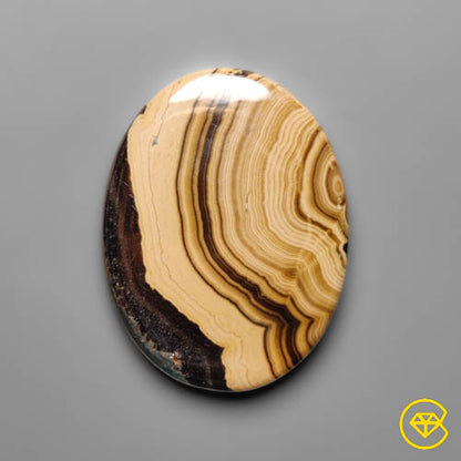 Schalenblende