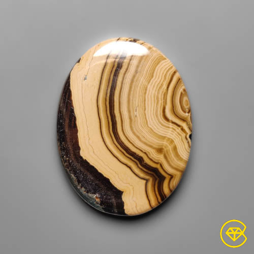 Schalenblende