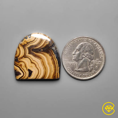 Schalenblende