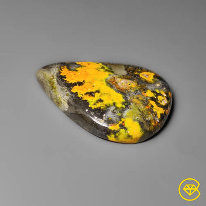 Bumble Bee Jasper