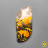 Bumble Bee Jasper