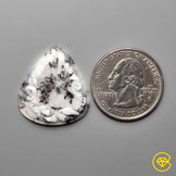 Dendritic Agate