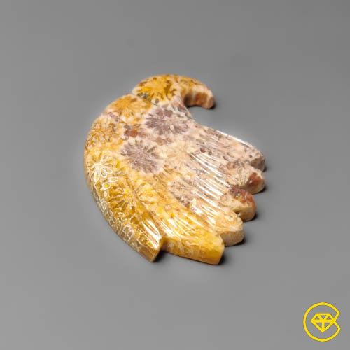 Fossil Coral