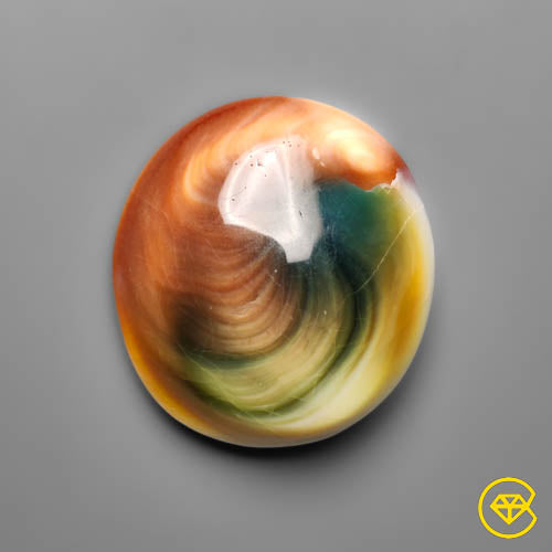 Shiva Eye Shell