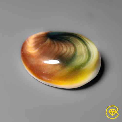 Shiva Eye Shell