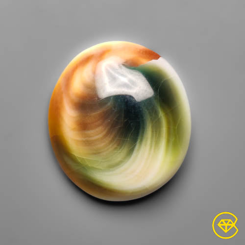 Shiva Eye Shell