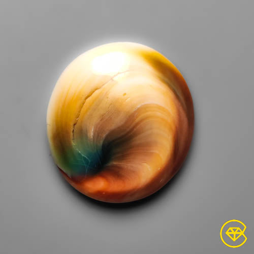 Shiva Eye Shell