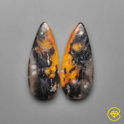 Palmroot Agate