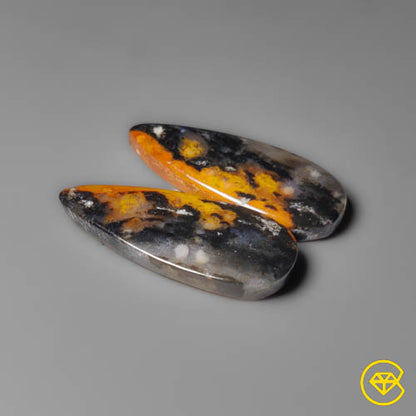Palmroot Agate