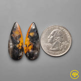 Palmroot Agate