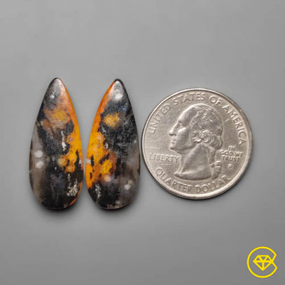 Palmroot Agate