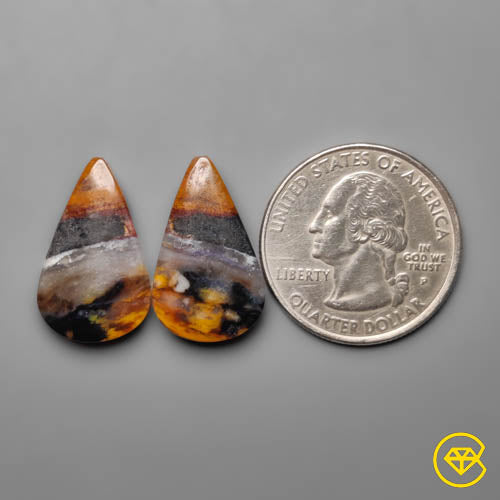 Palmroot Agate
