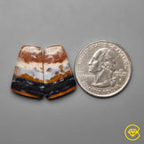 Palmroot Agate