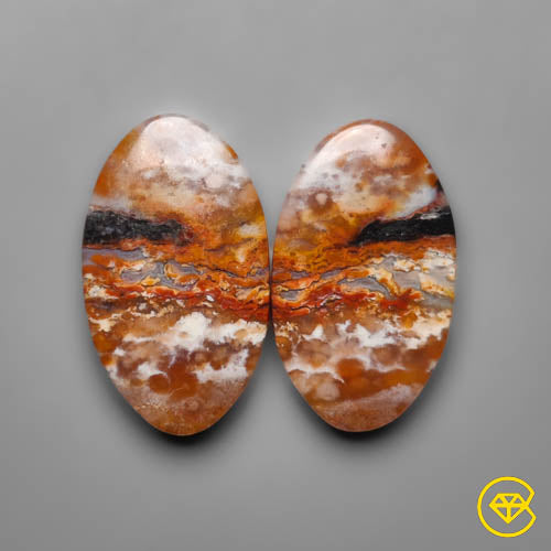 Palmroot Agate