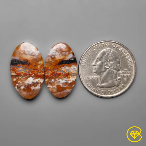 Palmroot Agate