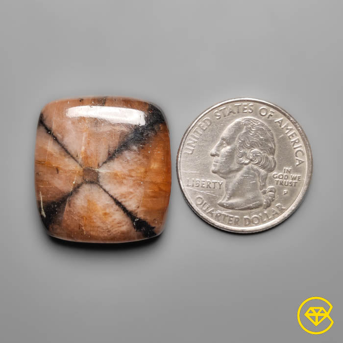 Chiastolite