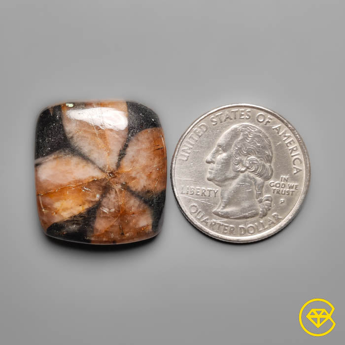 Chiastolite