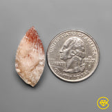 Scolecite