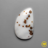 Polka Dot Agate