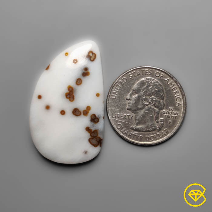 Polka Dot Agate