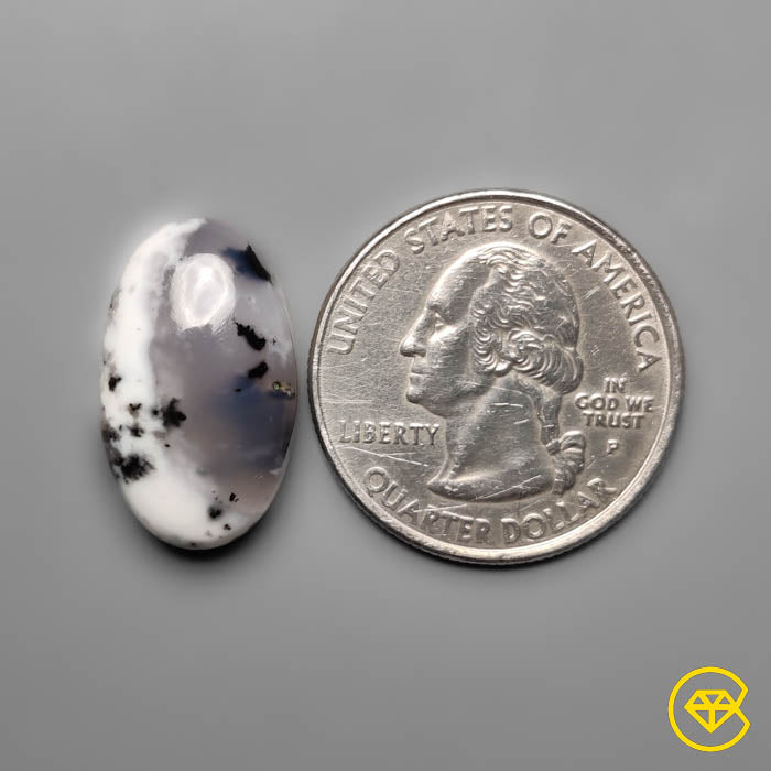 Dendritic Agate