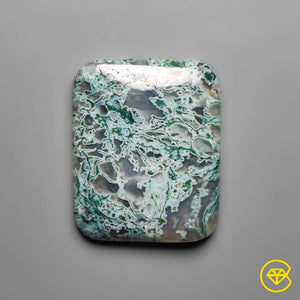 Horse Canyon Moss Agate