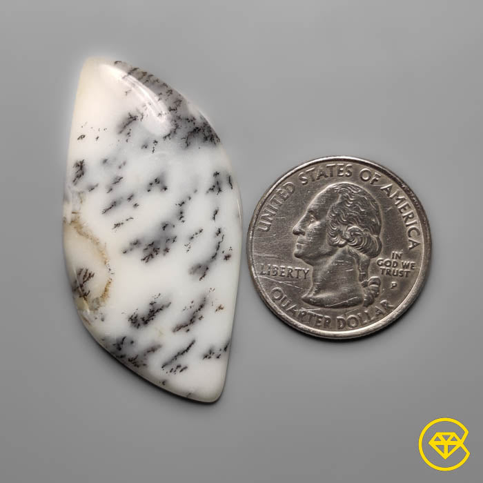 Dendritic Agate