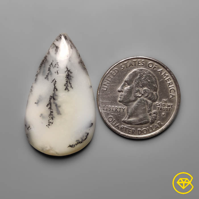Dendritic Agate