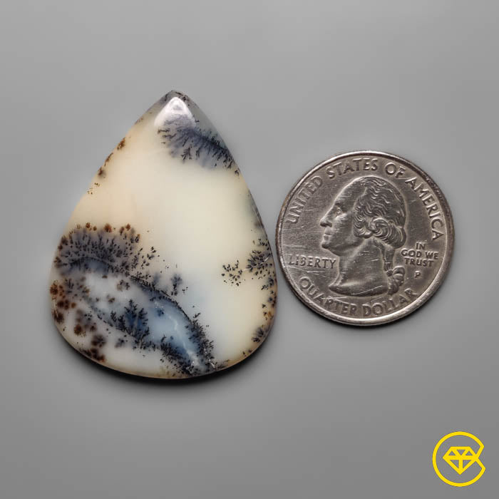 Dendritic Agate
