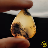 Dendritic Agate