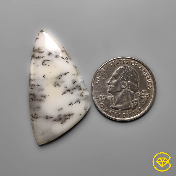 Dendritic Agate