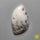 Dendritic Agate