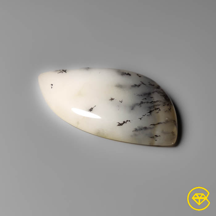 Dendritic Agate
