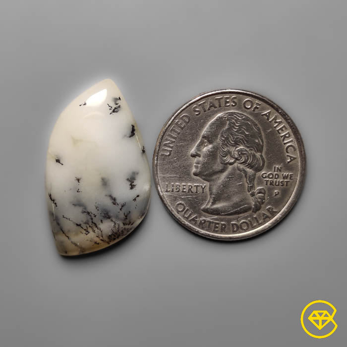 Dendritic Agate