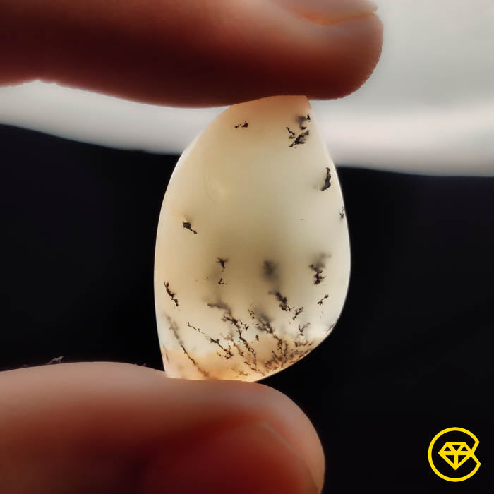 Dendritic Agate