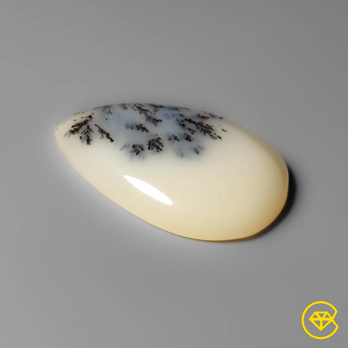 Dendritic Agate