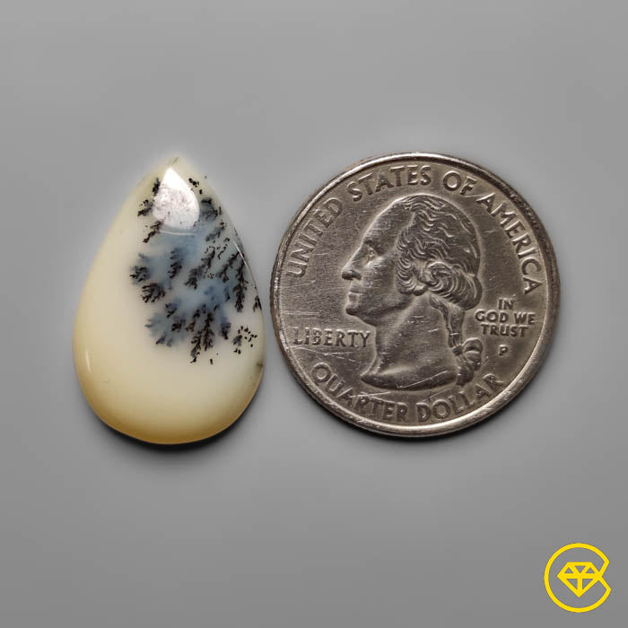 Dendritic Agate