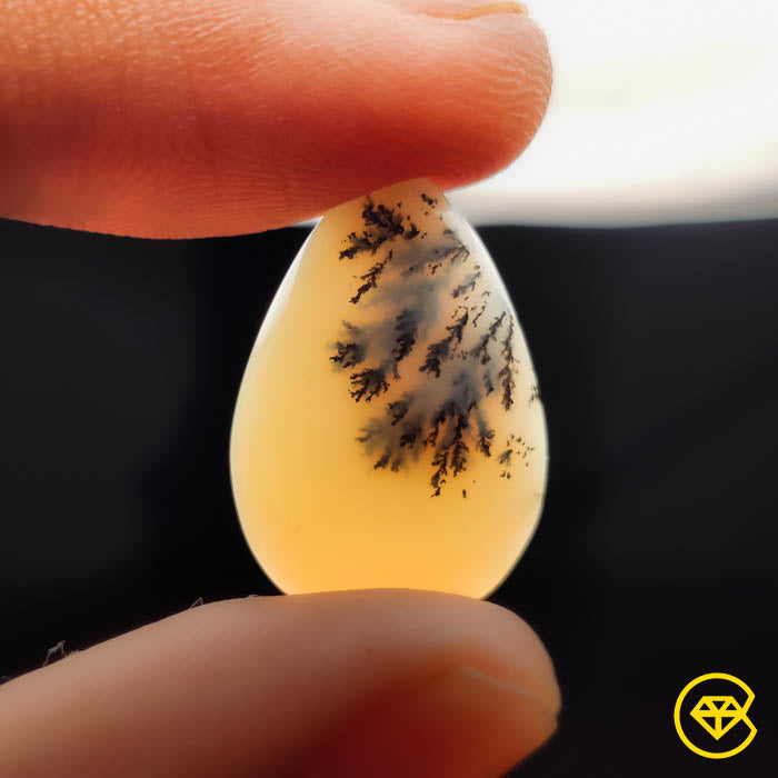 Dendritic Agate