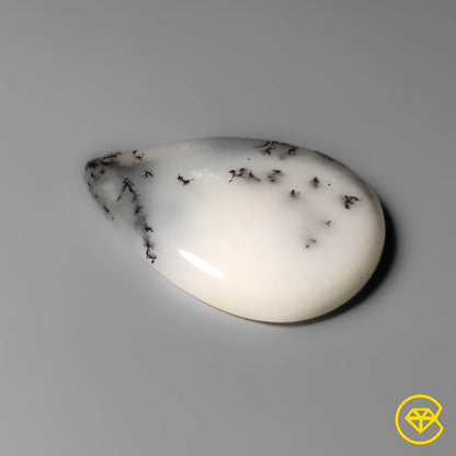 Dendritic Agate