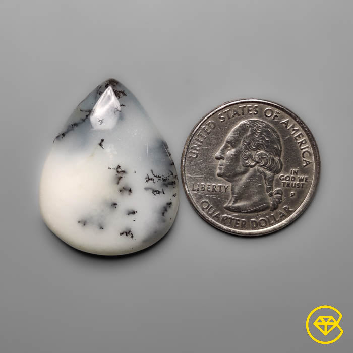 Dendritic Agate