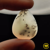 Dendritic Agate