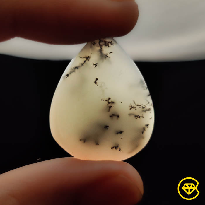 Dendritic Agate