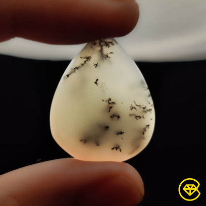 Dendritic Agate
