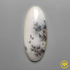 Dendritic Agate