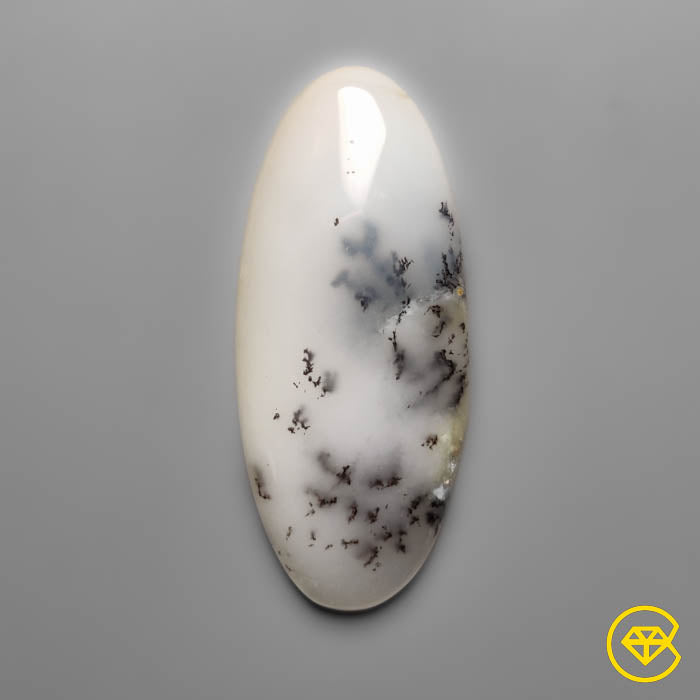 Dendritic Agate