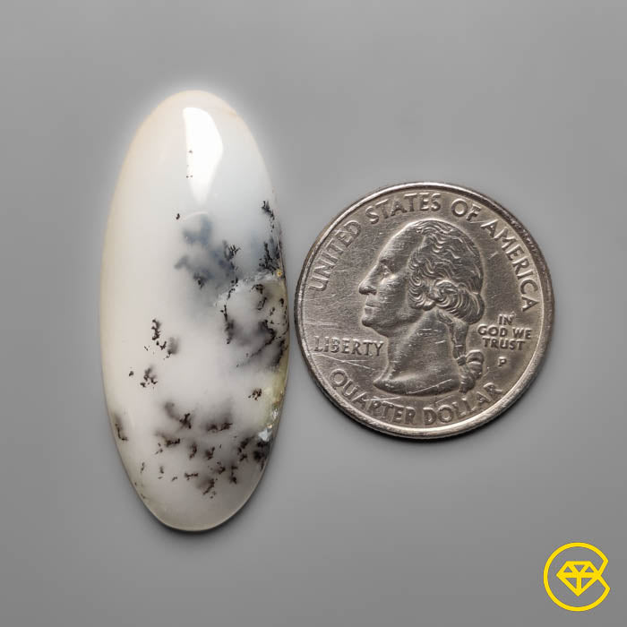 Dendritic Agate