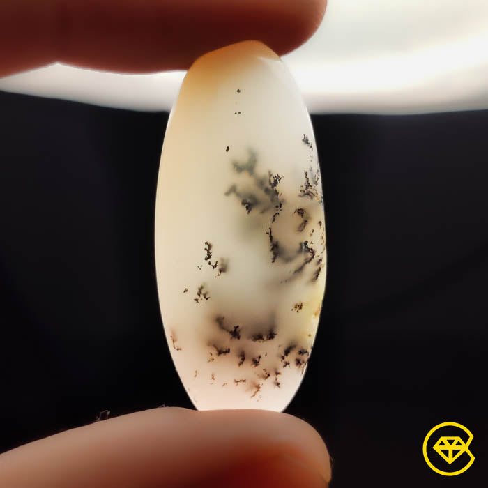 Dendritic Agate